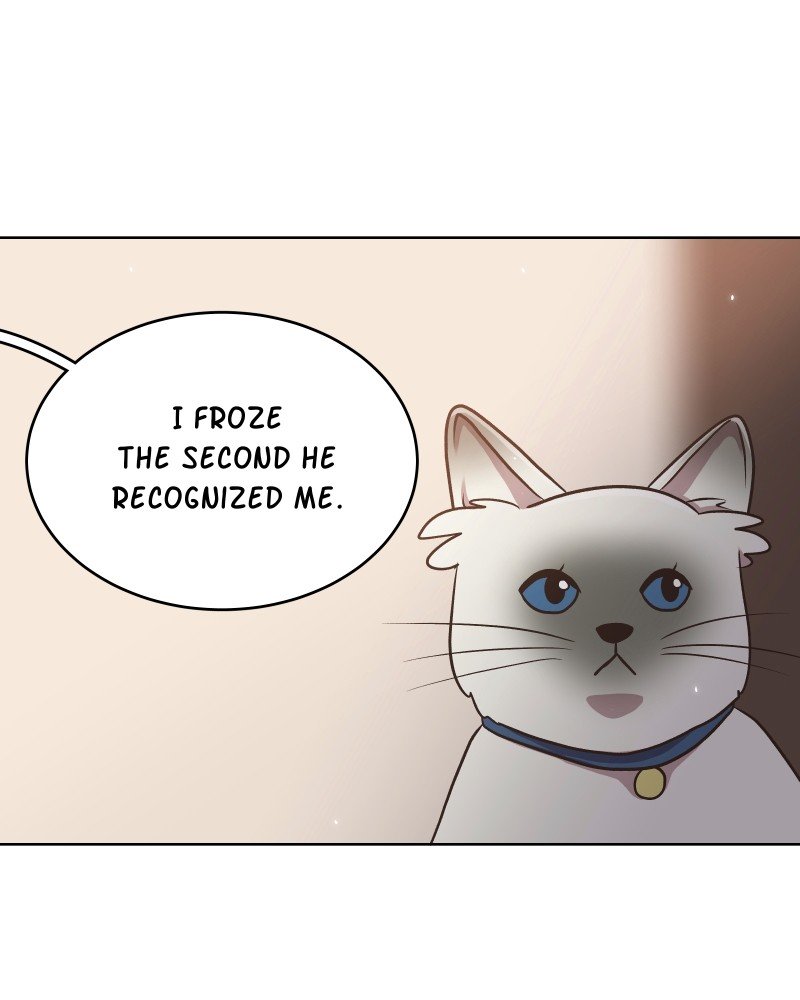 Gourmet Hound - Chapter 147