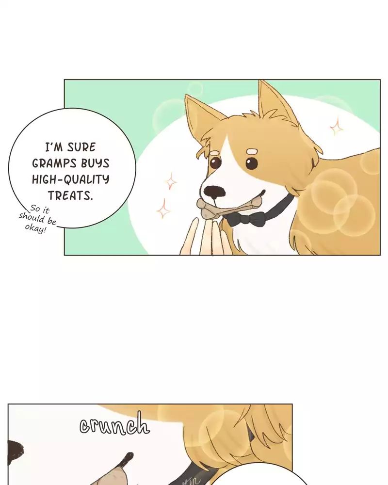 Gourmet Hound - Chapter 19: Ep.19: Peanut Butter