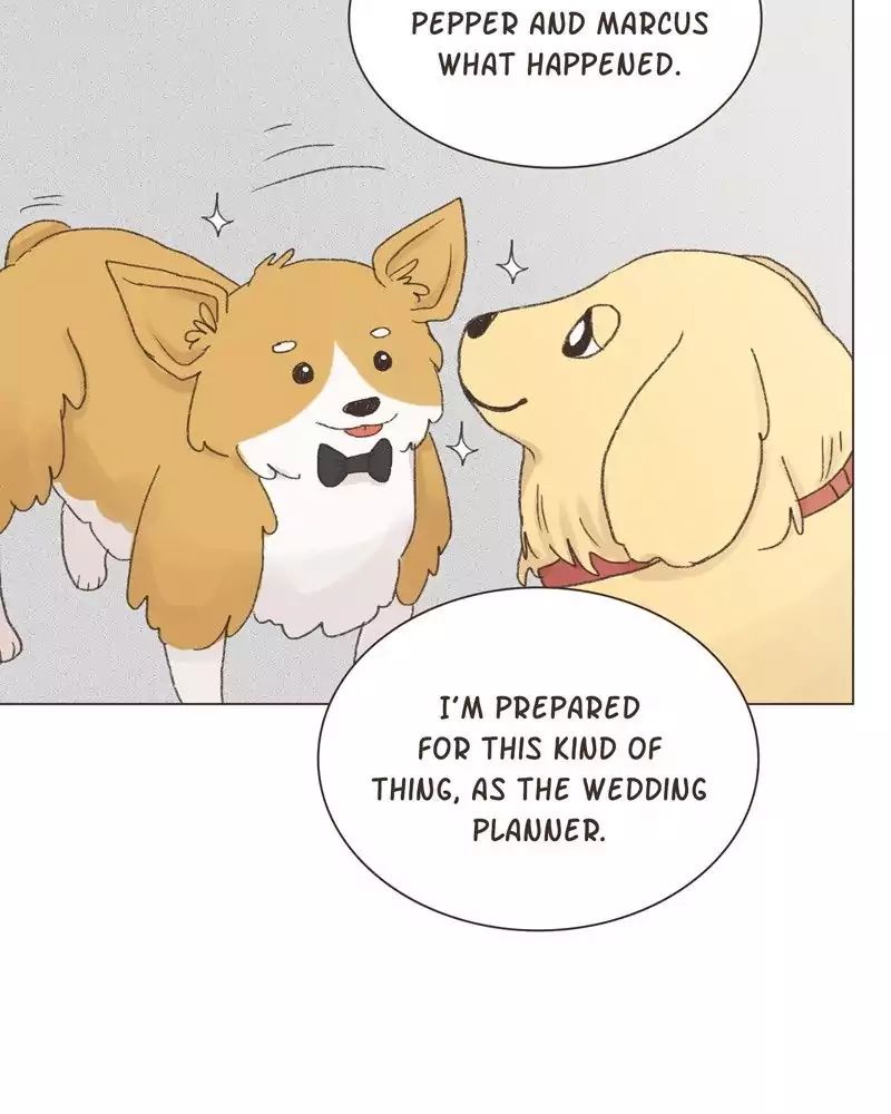 Gourmet Hound - Chapter 30: Ep.30: Teacup