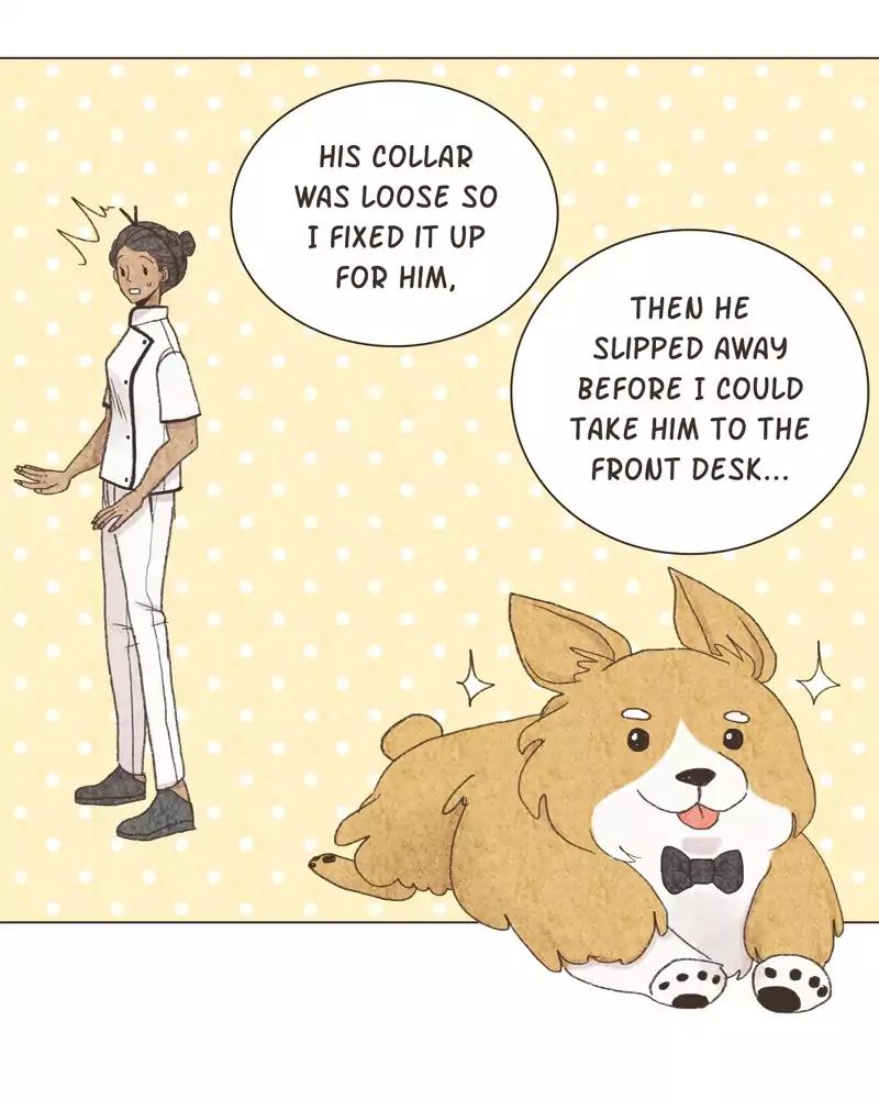 Gourmet Hound - Chapter 33: Ep.33: Buttercream Frosting