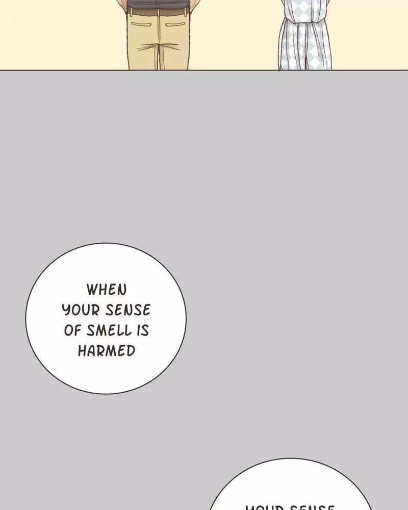 Gourmet Hound - Chapter 43: Ep.42: Dish Tower