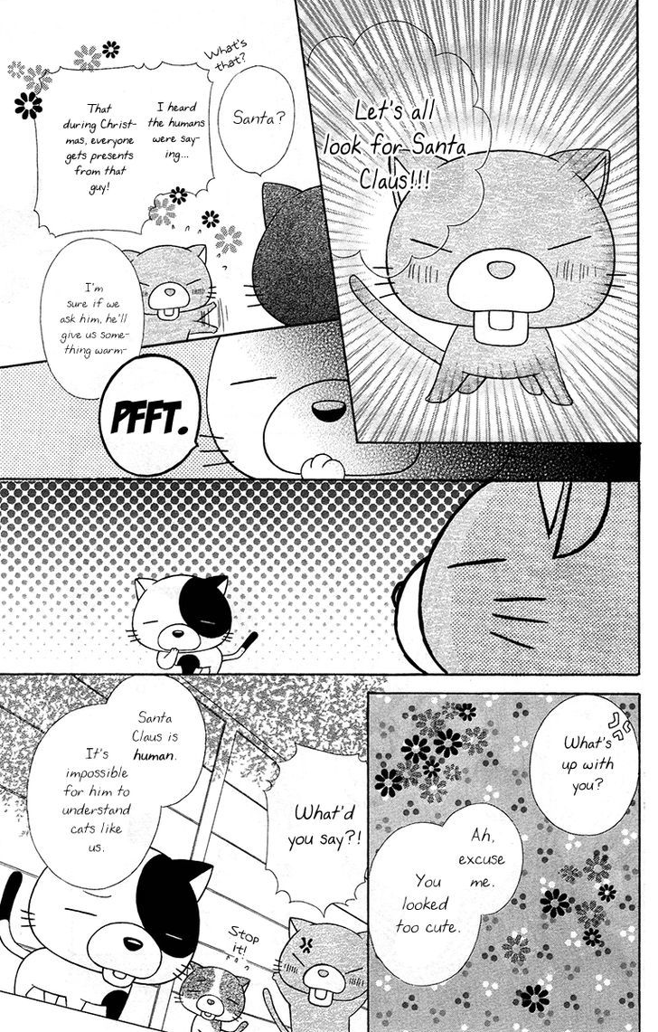 Love Berrish! - Vol.5 Chapter 21.6 : Extra: Miichan, The Cat