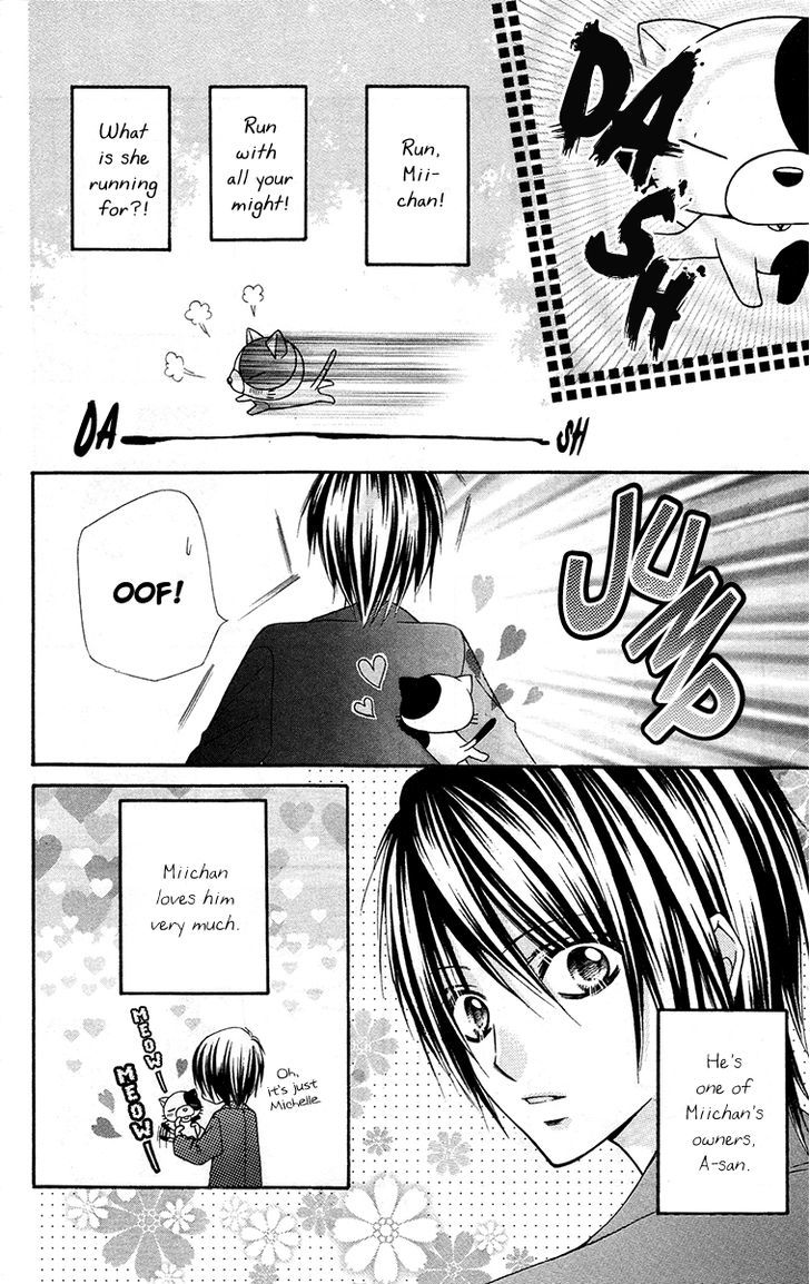 Love Berrish! - Vol.5 Chapter 21.6 : Extra: Miichan, The Cat