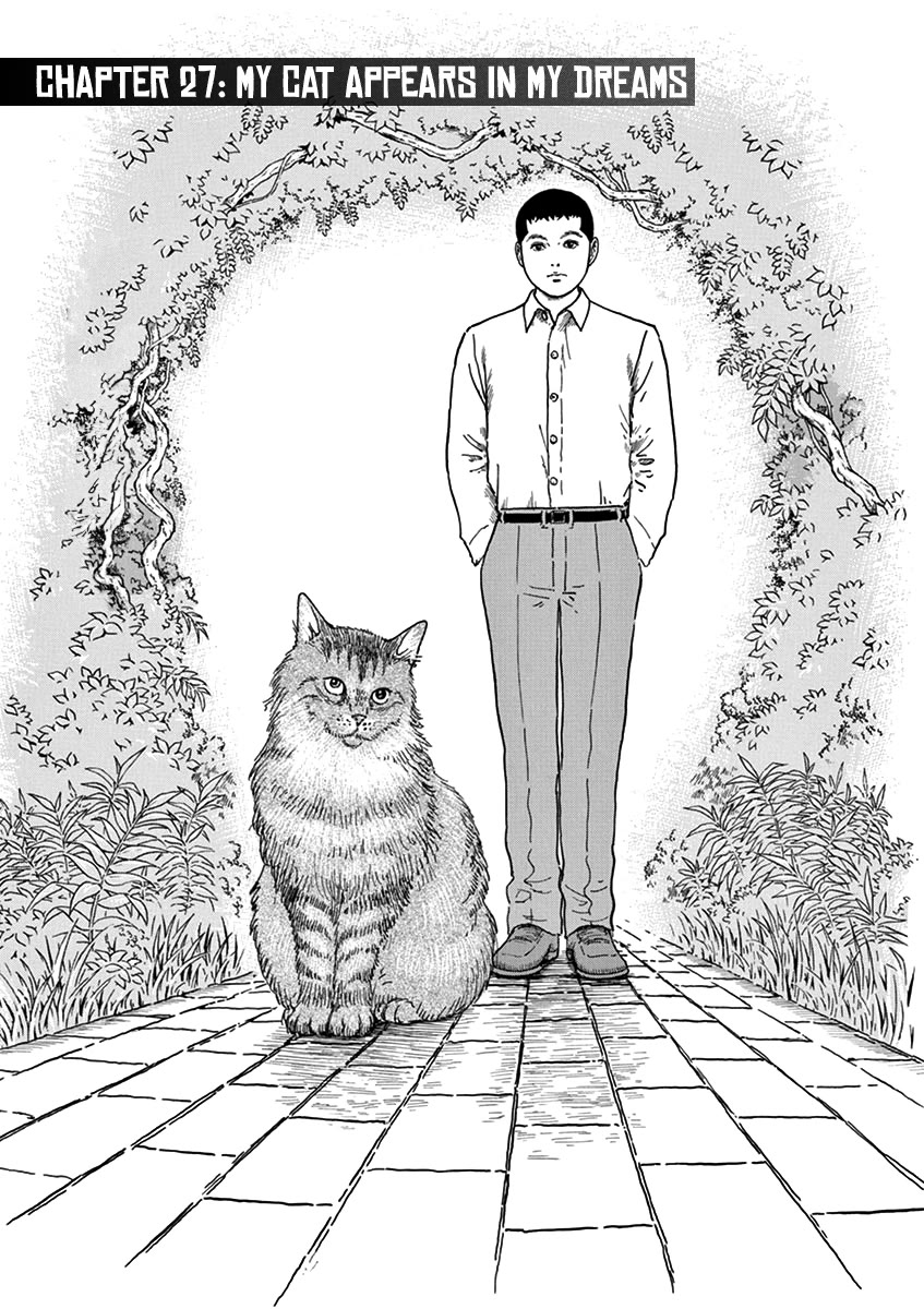 Yuukoku No Rasputin - Chapter 27: My Cat Appears In My Dreams