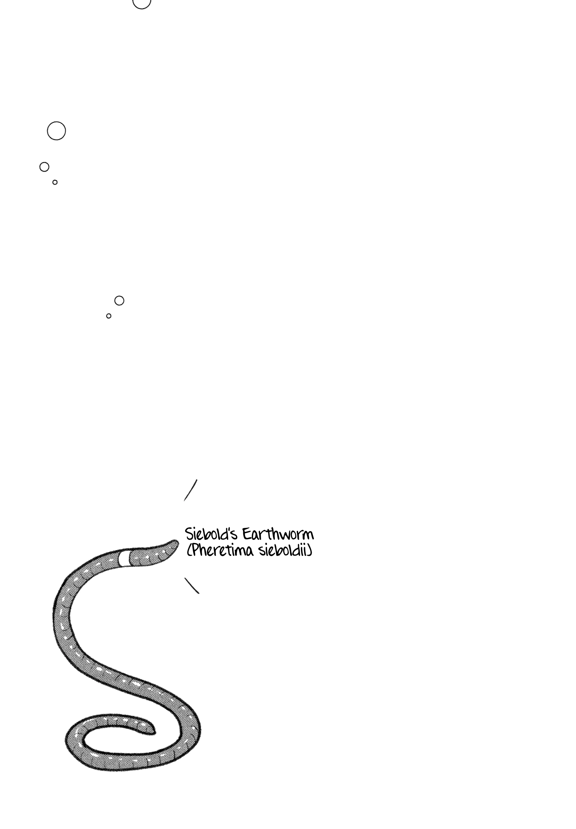 Afterschool Embankment Journal - Vol.10 Chapter 54: River Fish