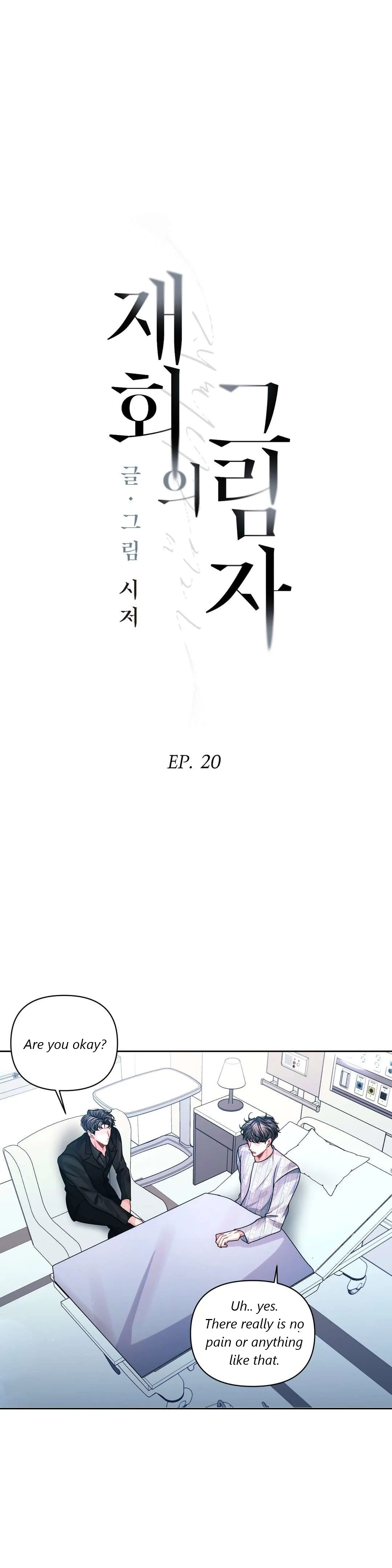 Shadow Of The Reunion - Chapter 20