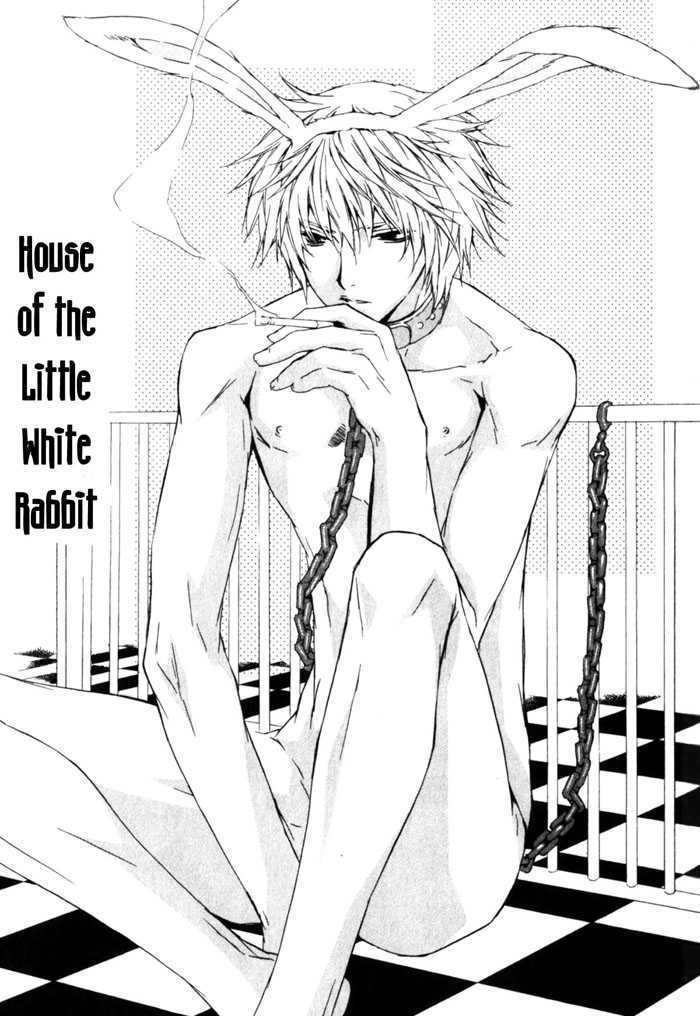 Sensitive Pornograph - Vol.1 Chapter 5 : House Of The Little White Rabbit