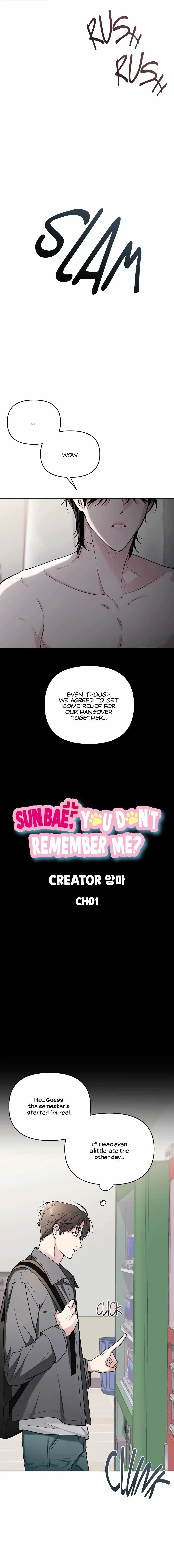 Sunbae, You Don't Remember Me? - Chapter 1