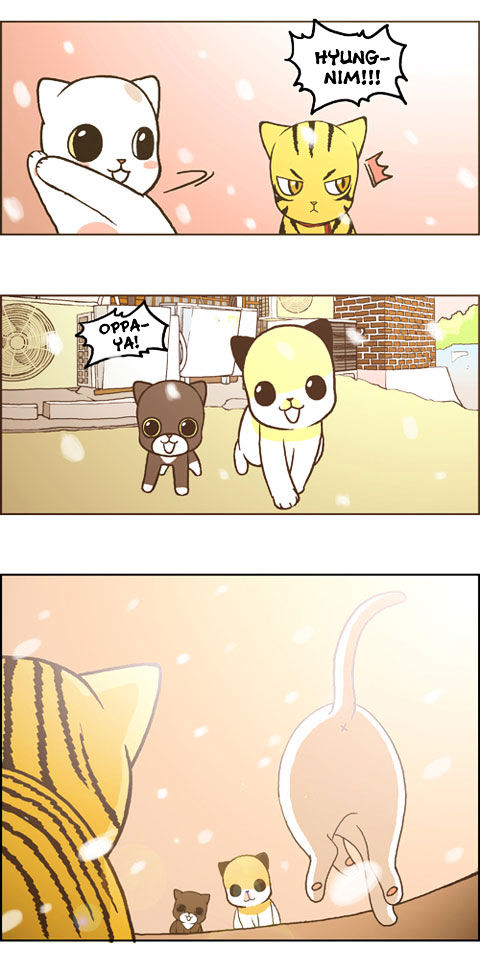 Papi Nyang - Chapter 17 : Romantic Cat