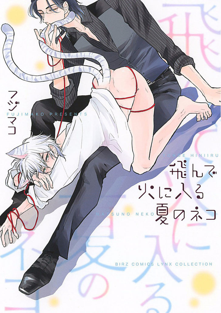 Tonde Hi Ni Iru Natsu No Neko - Chapter 1