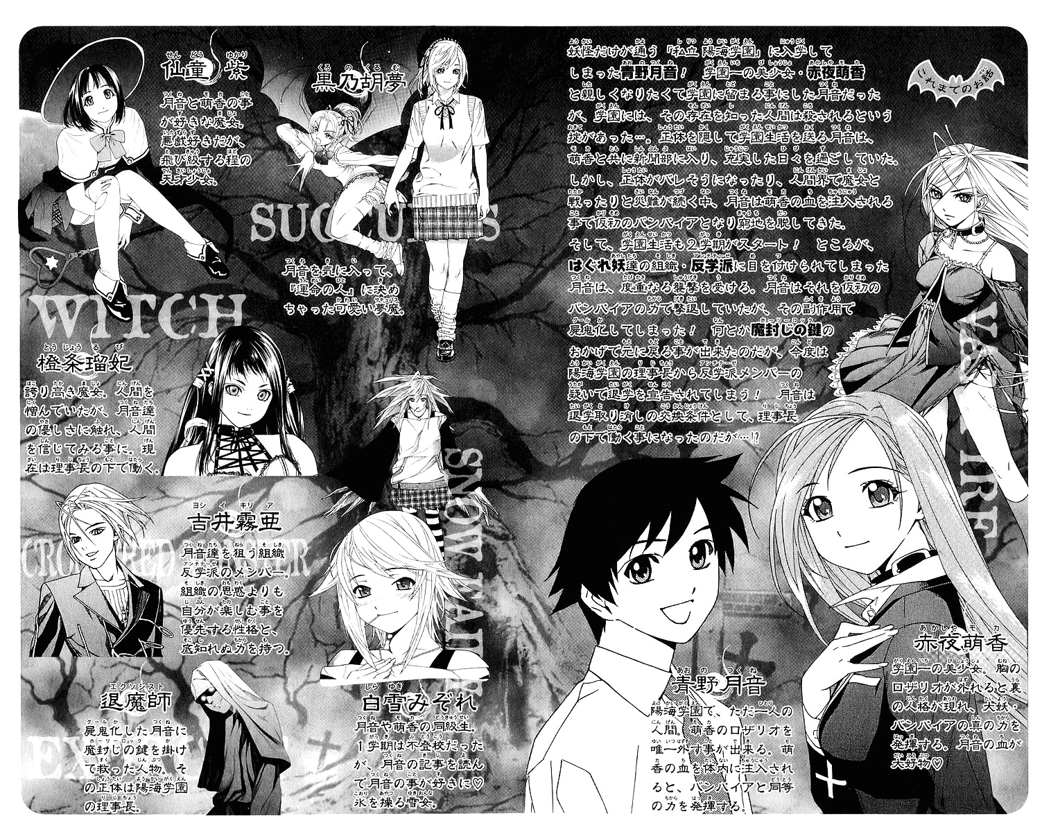 Rosario To Vampire - Vol.8 Chapter 29 : Darkness Of The School Festival