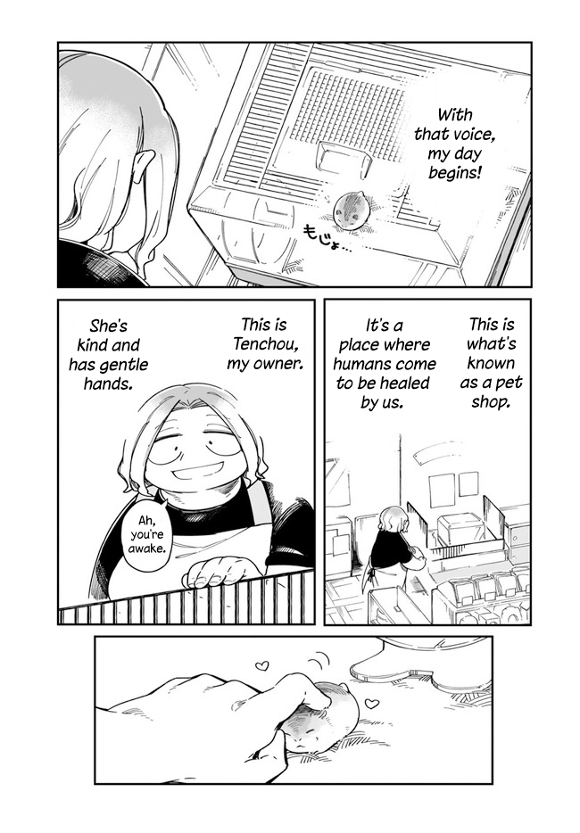 Ms. Kuzuryu's Favorite Is Small - Chapter 3: Kuzu-San