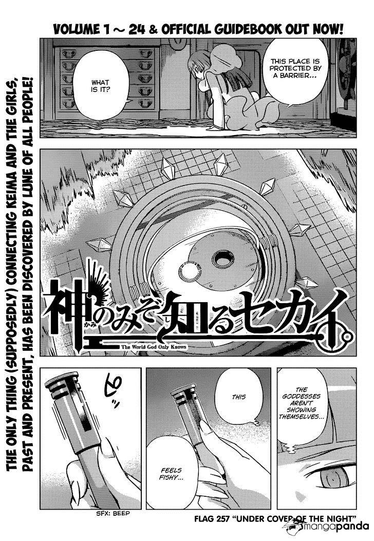 The World God Only Knows - Chapter 257 : Under Cover Of The Night