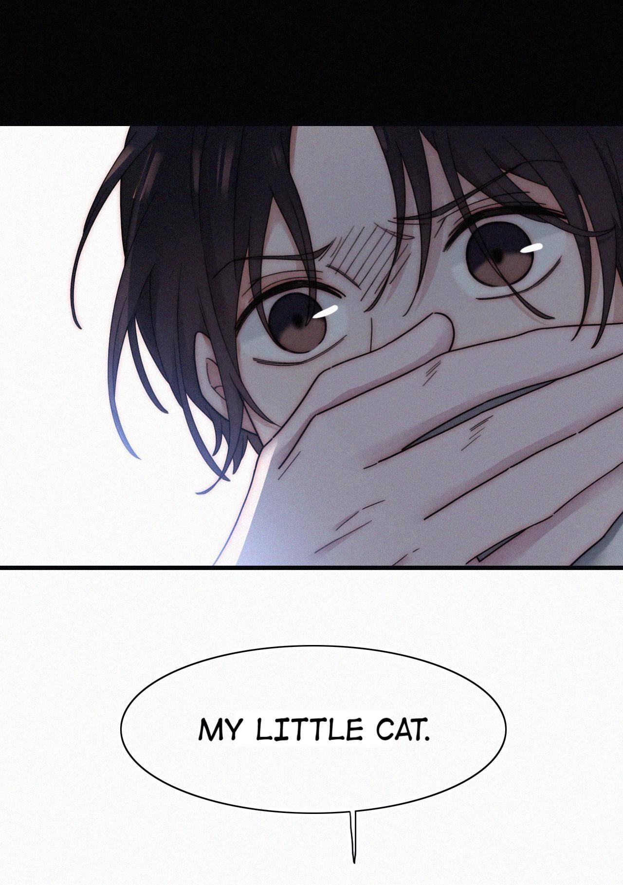 A Cat's Maze - Chapter 36