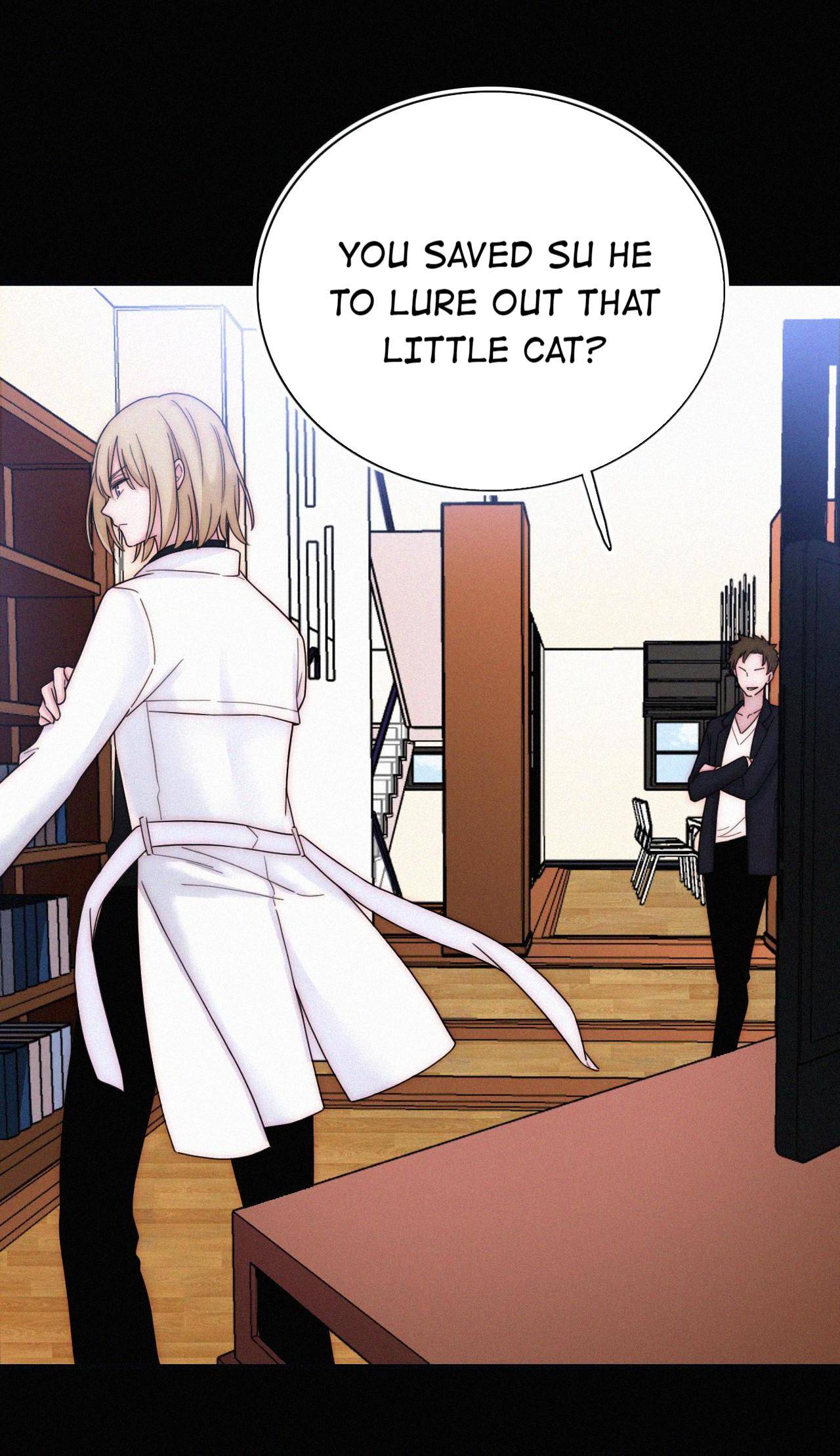 A Cat's Maze - Chapter 36