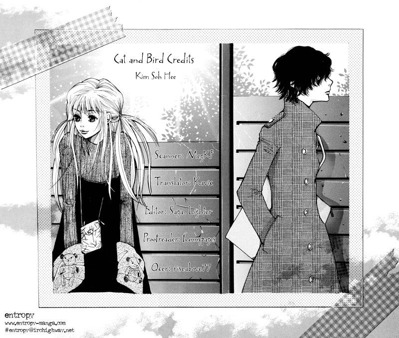 Cat And Bird - Vol.2 Chapter 8