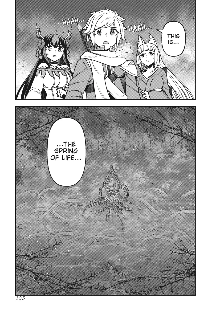 Is It Wrong To Try To Pick Up Girls In A Dungeon - Memoria Freese - Chapter 17