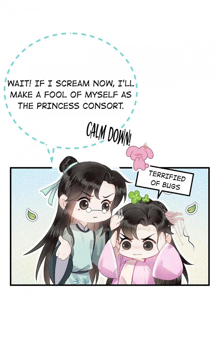 This Princess Consort Is A Man - Chapter 1 : First Day As A Princess Co.