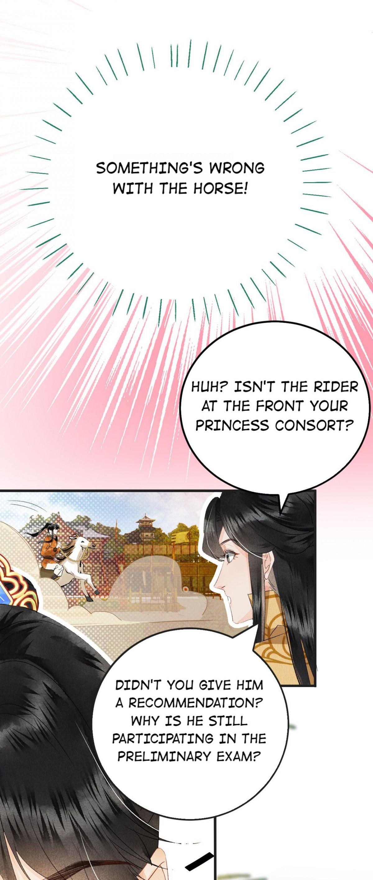 This Princess Consort Is A Man - Chapter 41