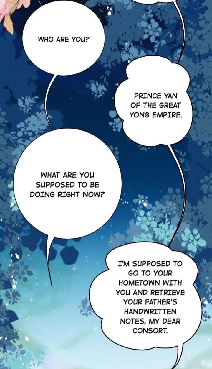 This Princess Consort Is A Man - Chapter 48