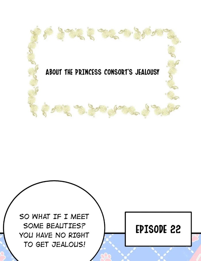 This Princess Consort Is A Man - Chapter 22 : Prince Yan Is Into Eighteen.