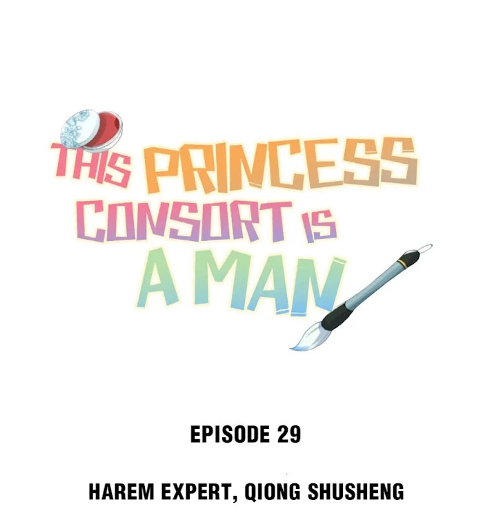 This Princess Consort Is A Man - Chapter 29 : Harem Drama Expert, Qiong S.