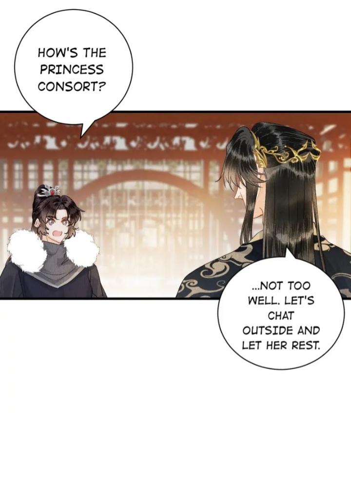 This Princess Consort Is A Man - Chapter 55