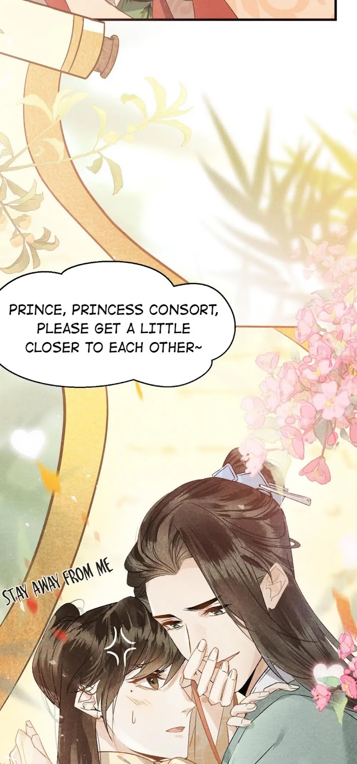 This Princess Consort Is A Man - Chapter 0.2 : Preview 2