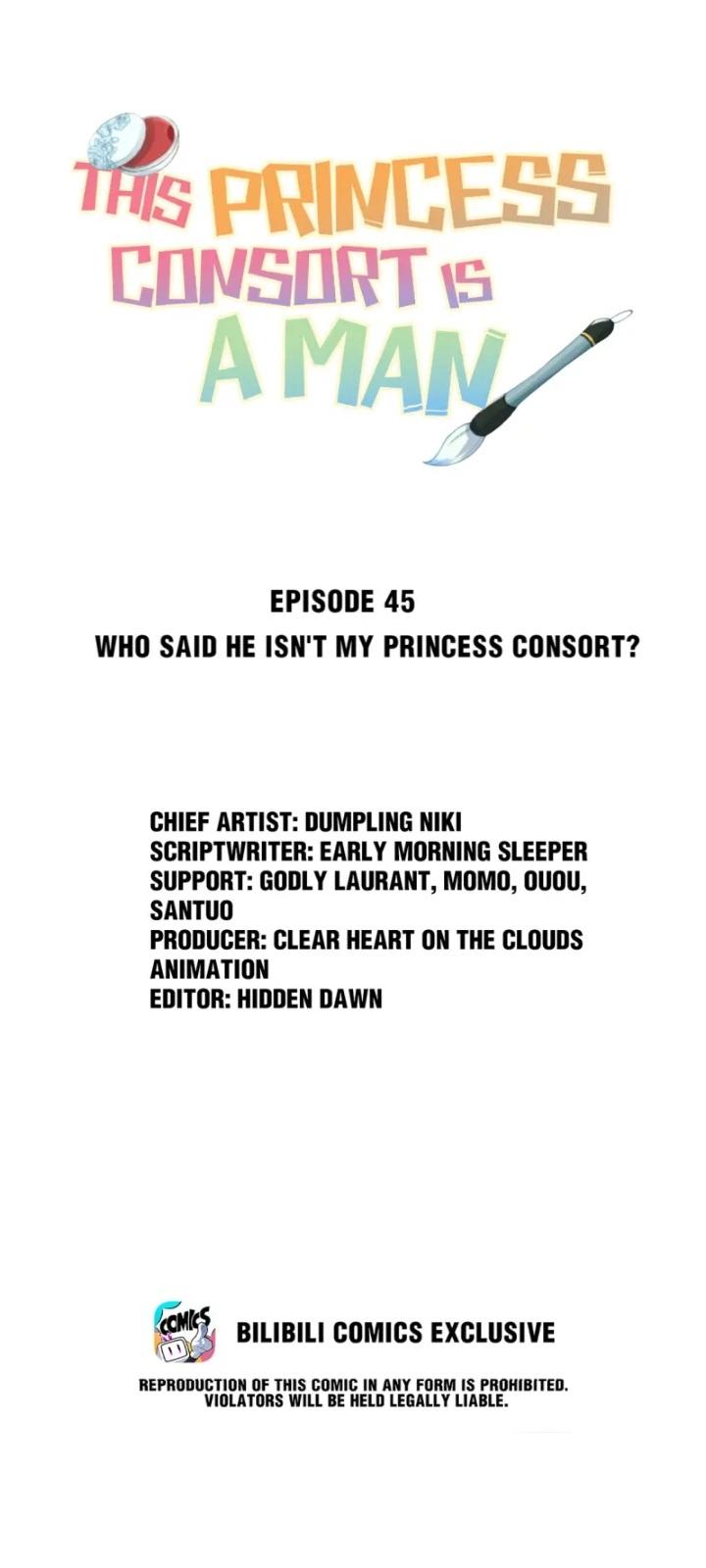 This Princess Consort Is A Man - Chapter 45