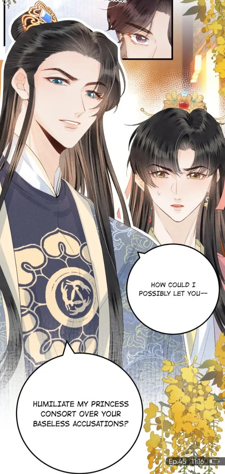 This Princess Consort Is A Man - Chapter 45