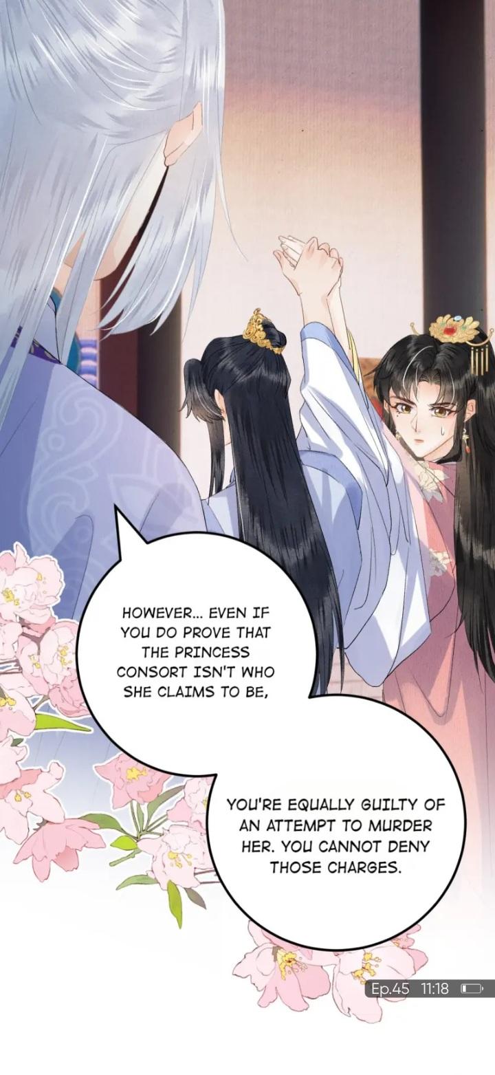 This Princess Consort Is A Man - Chapter 45