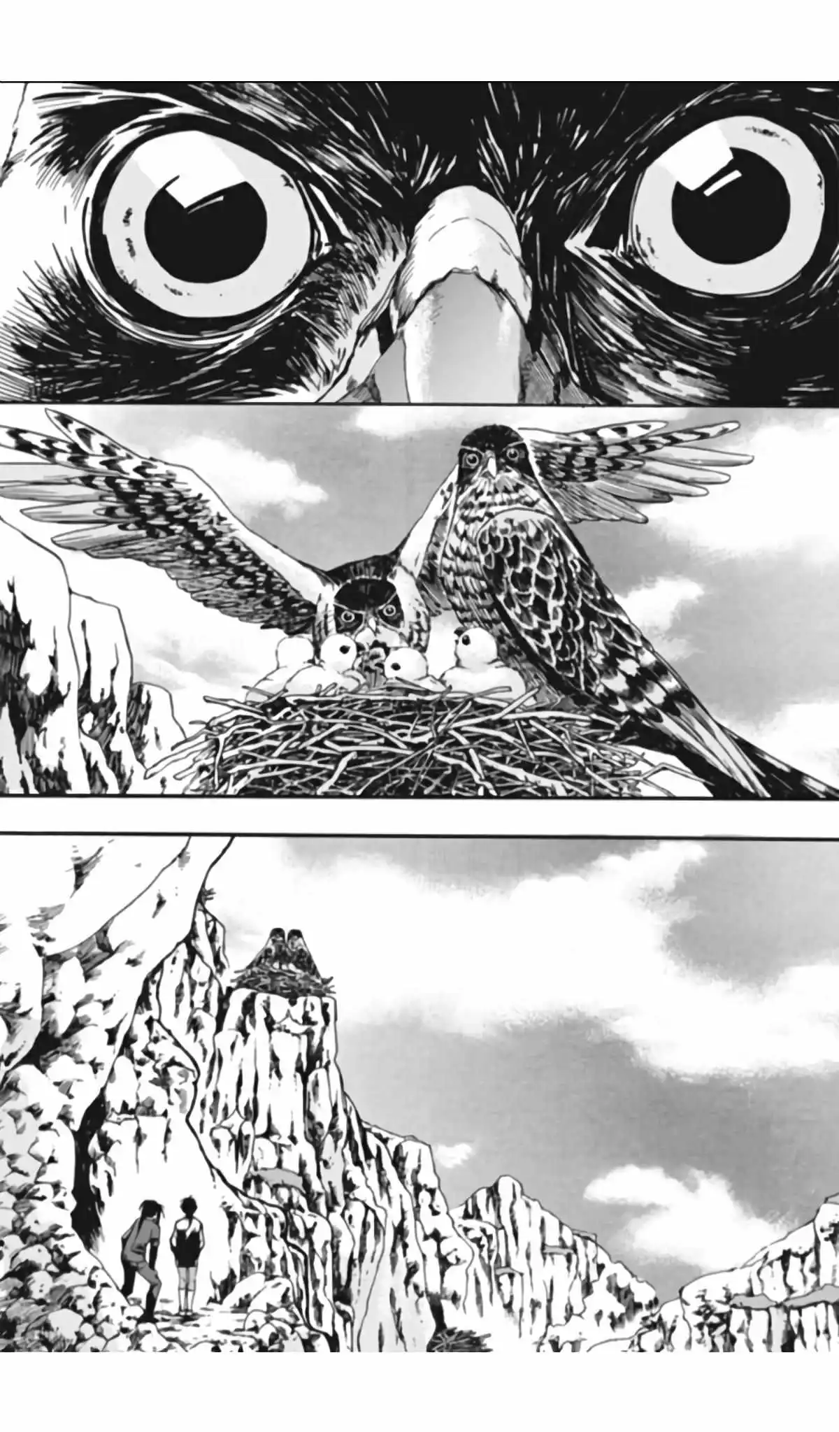 Maximum Ride - Chapter 4