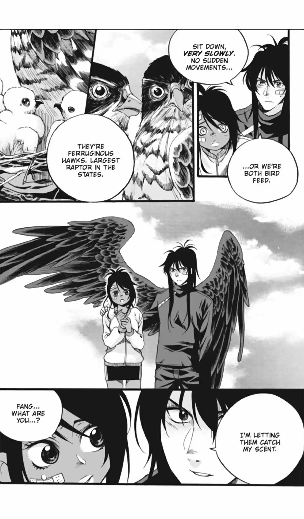 Maximum Ride - Chapter 4