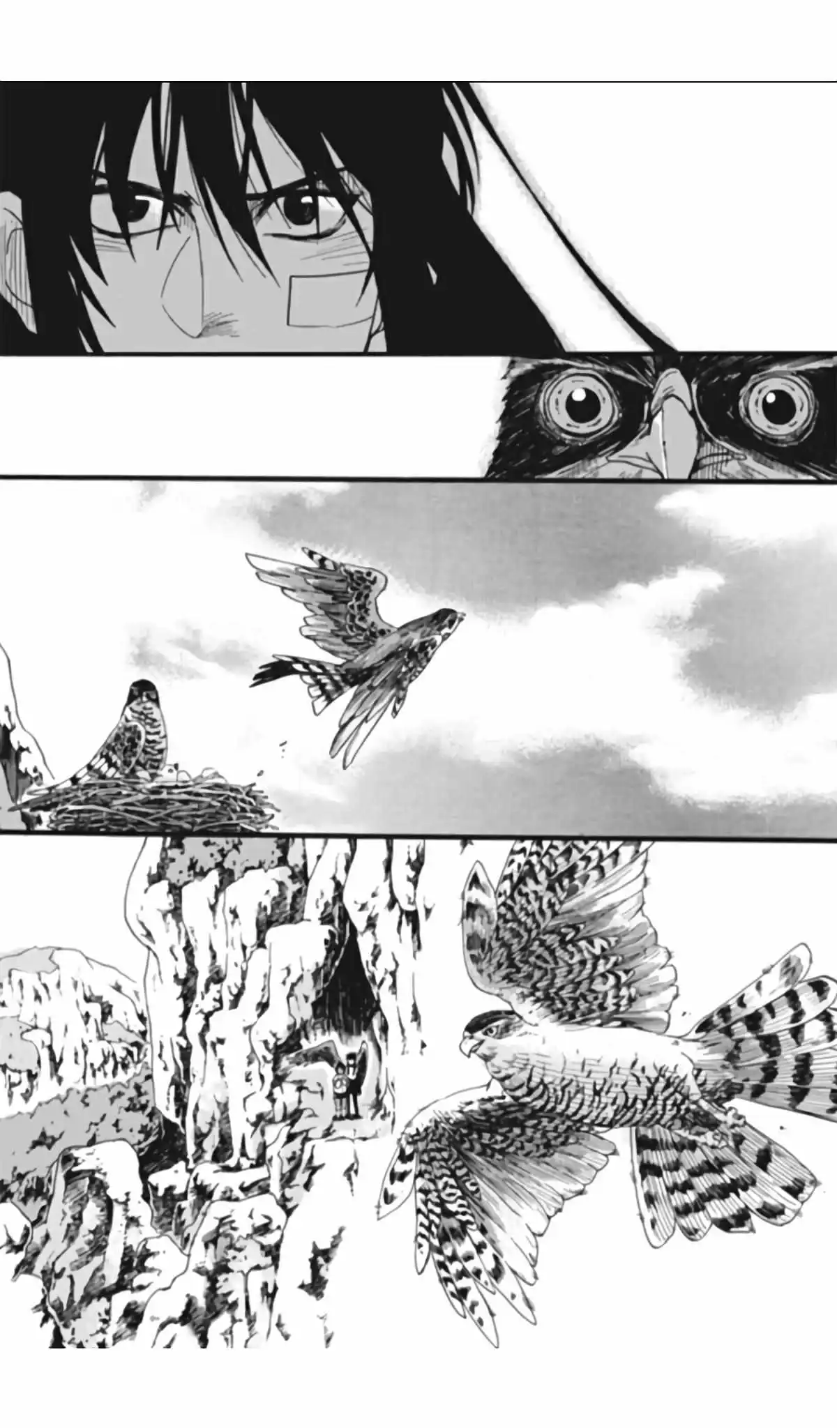 Maximum Ride - Chapter 4