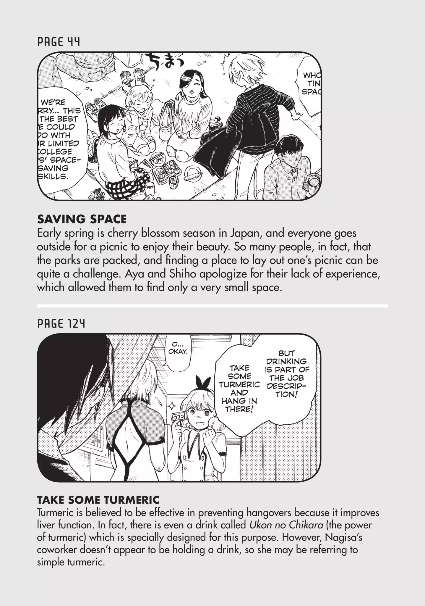 Complex Age - Vol.6 Cospedia: Glossary Of Cosplay Terms