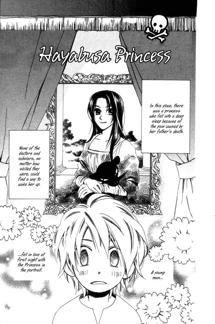 Hayabusa (Roppongi Aya) - Vol.1 Chapter 4.5 : Hayabusa Princess