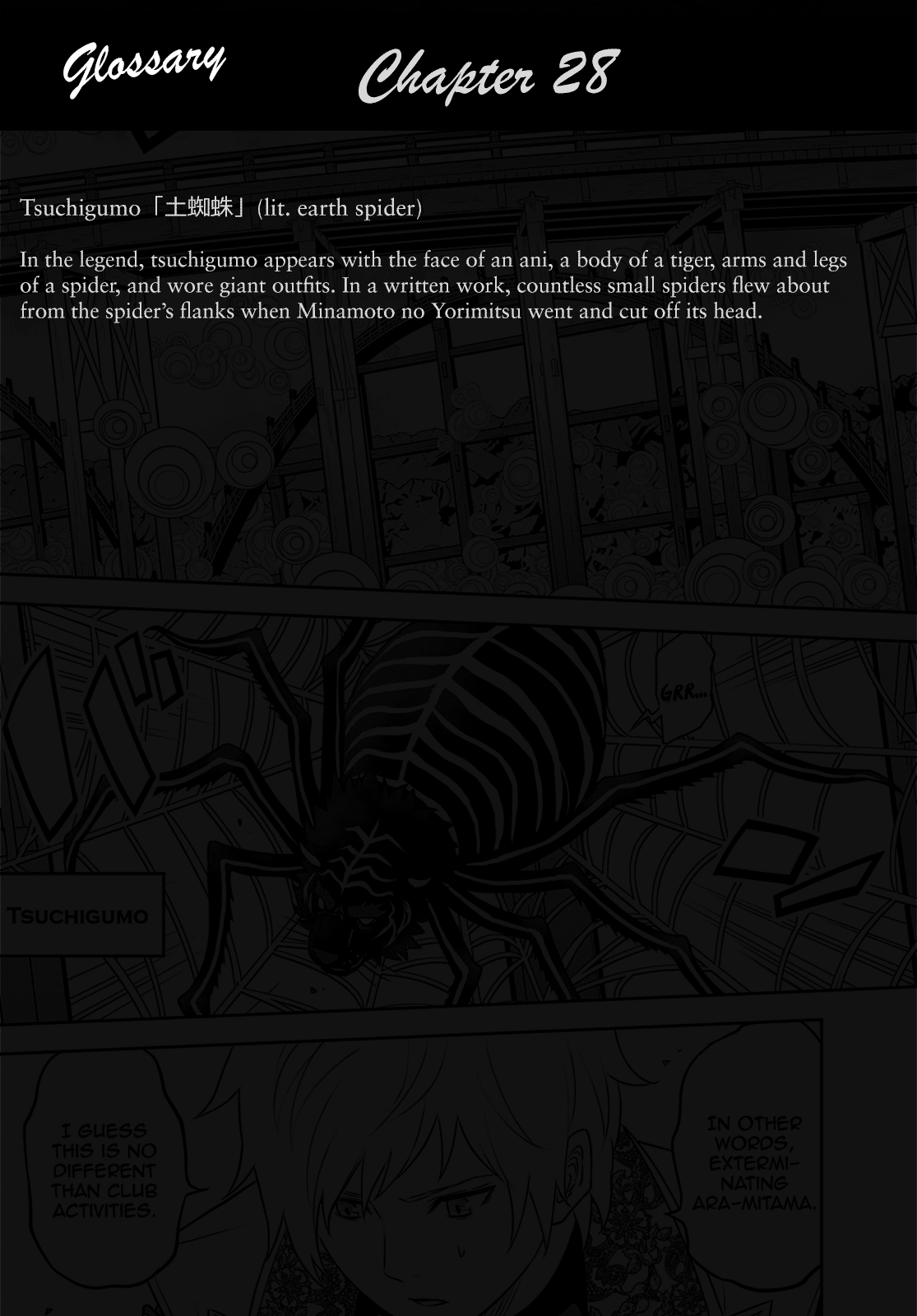 Raisekamika - Vol.5 Chapter 28