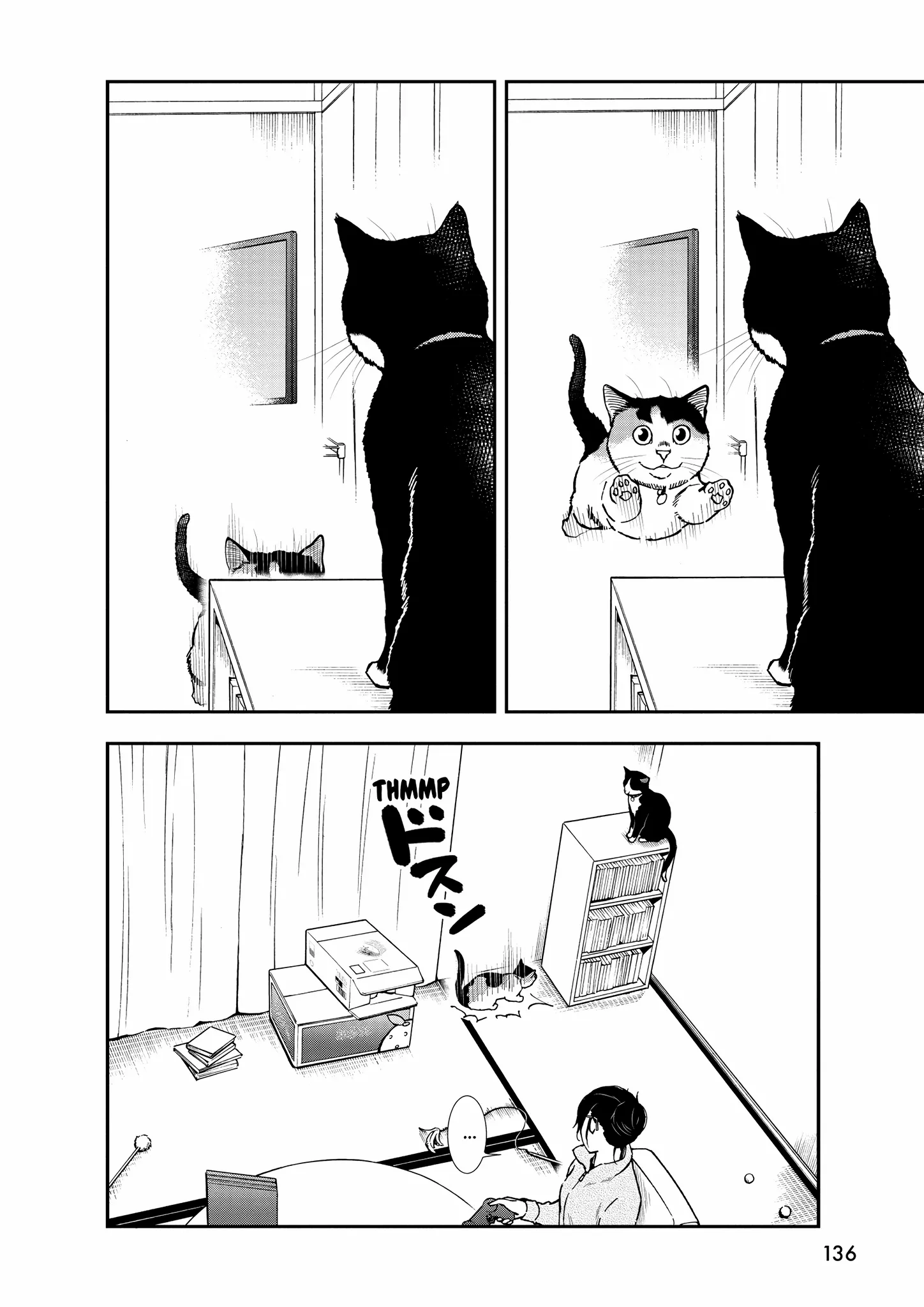 A Gamer Living With A Cat - Chapter 54