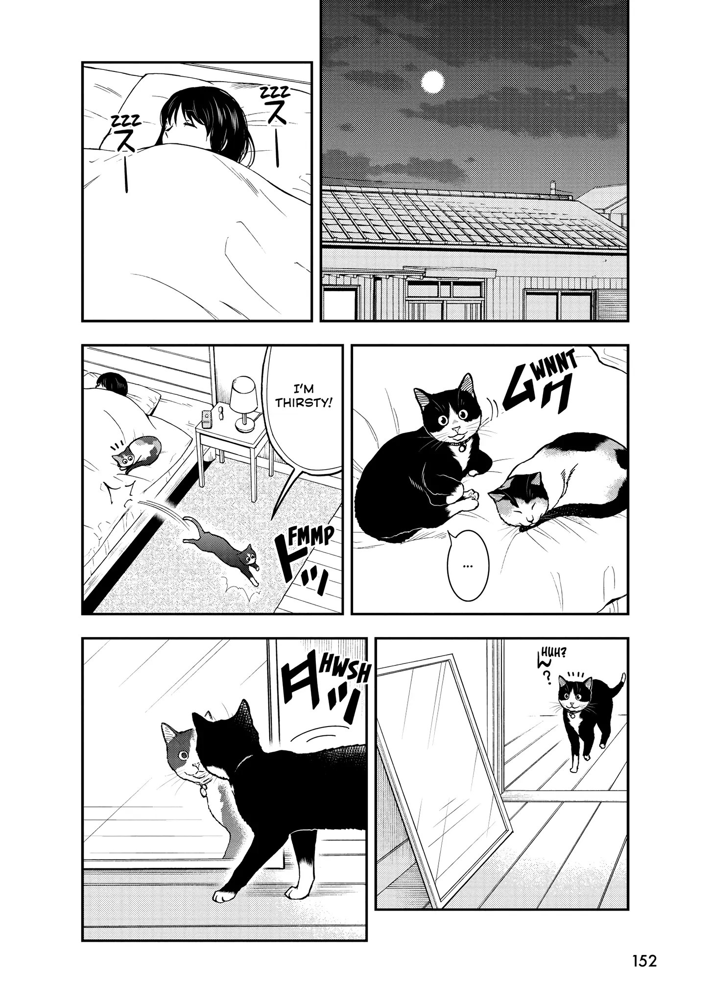 A Gamer Living With A Cat - Chapter 55