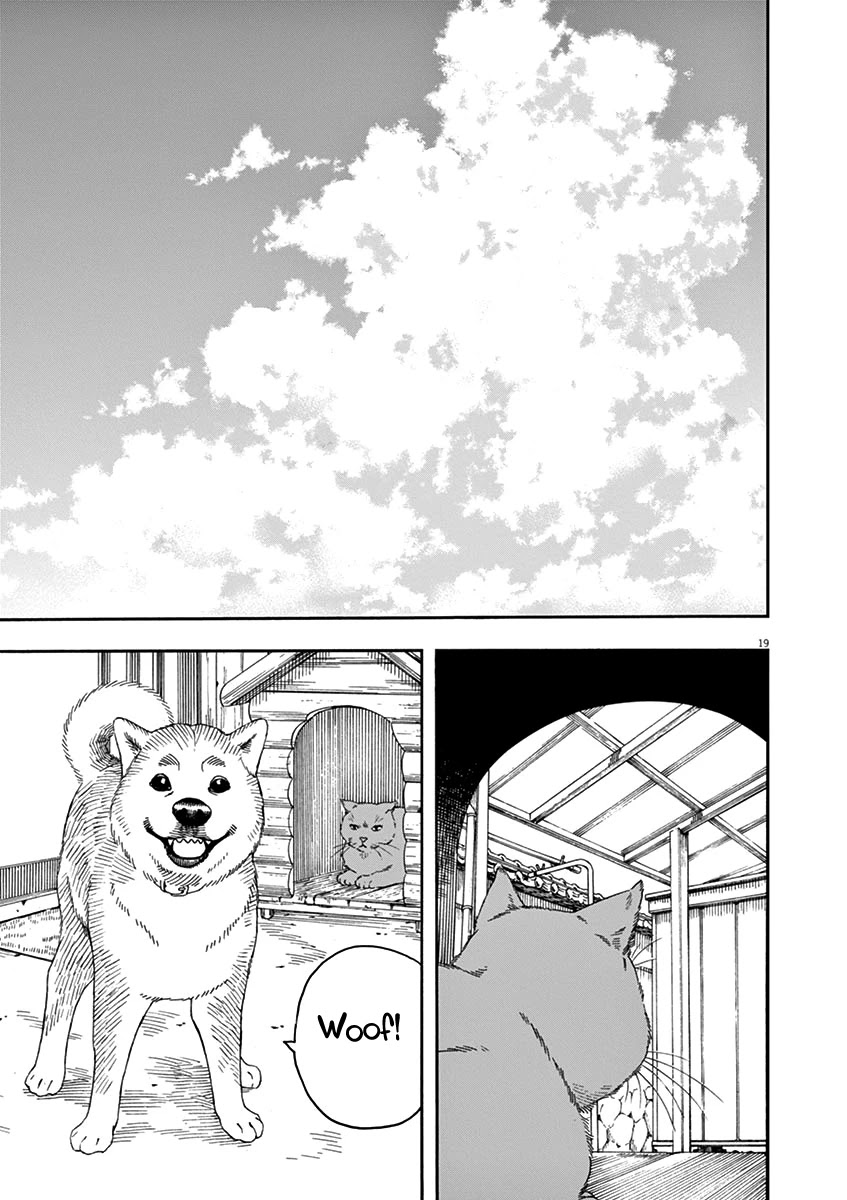 Neko No Otera No Chion-San - Chapter 79: Cats, Gen And Chion-San