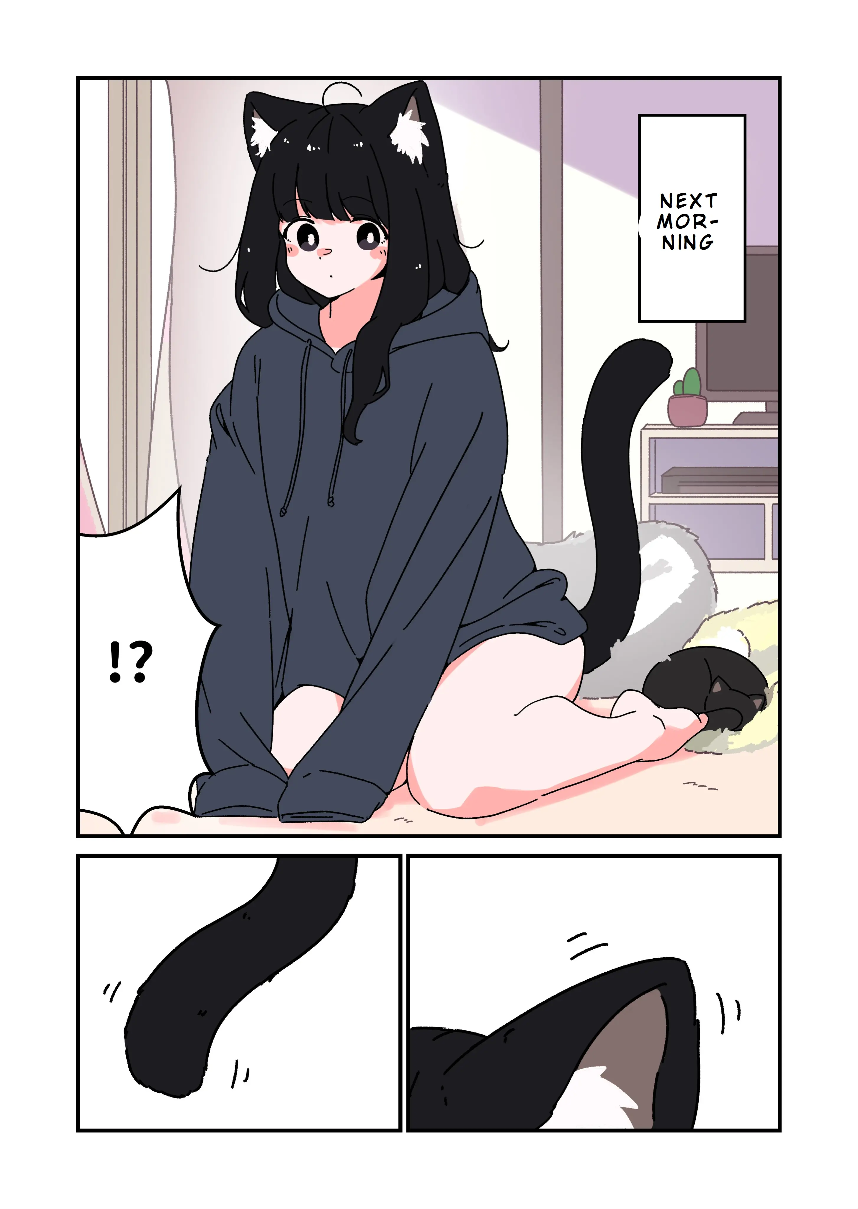 Kuroneko No Ohanashi - Chapter 1: My New Cats