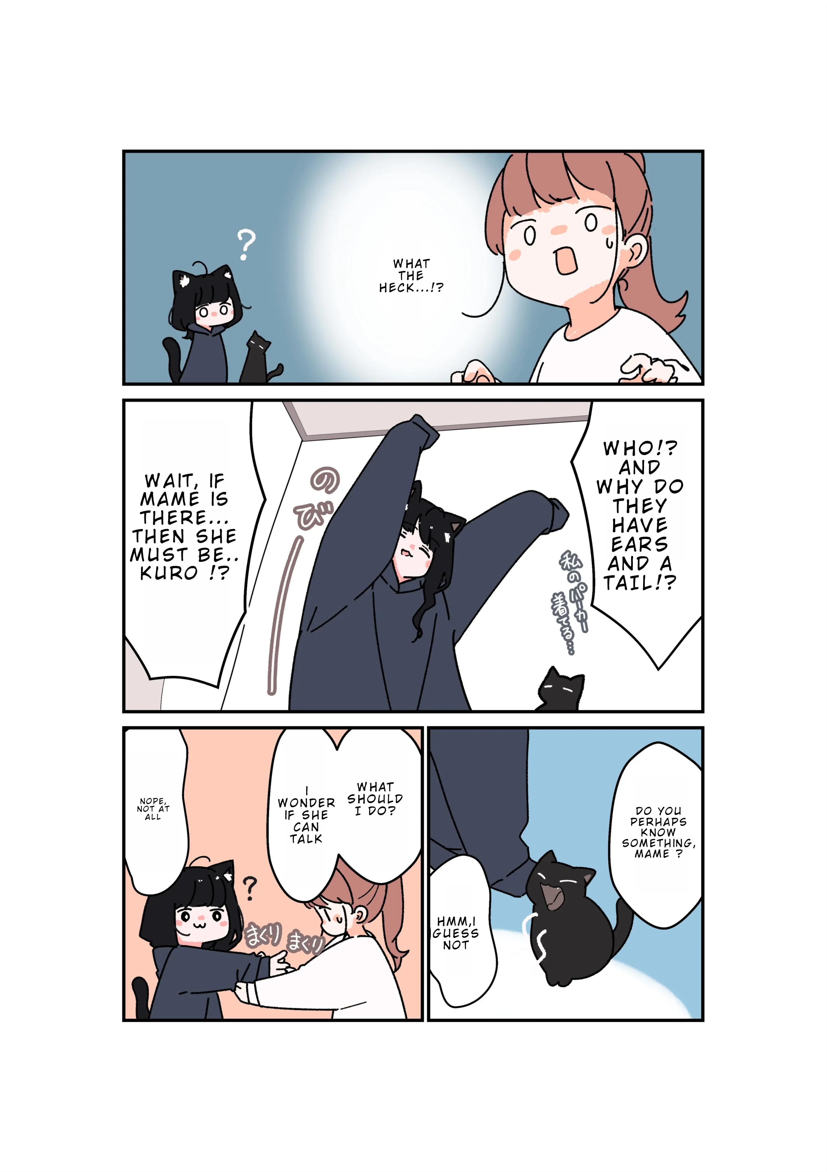 Kuroneko No Ohanashi - Chapter 1: My New Cats