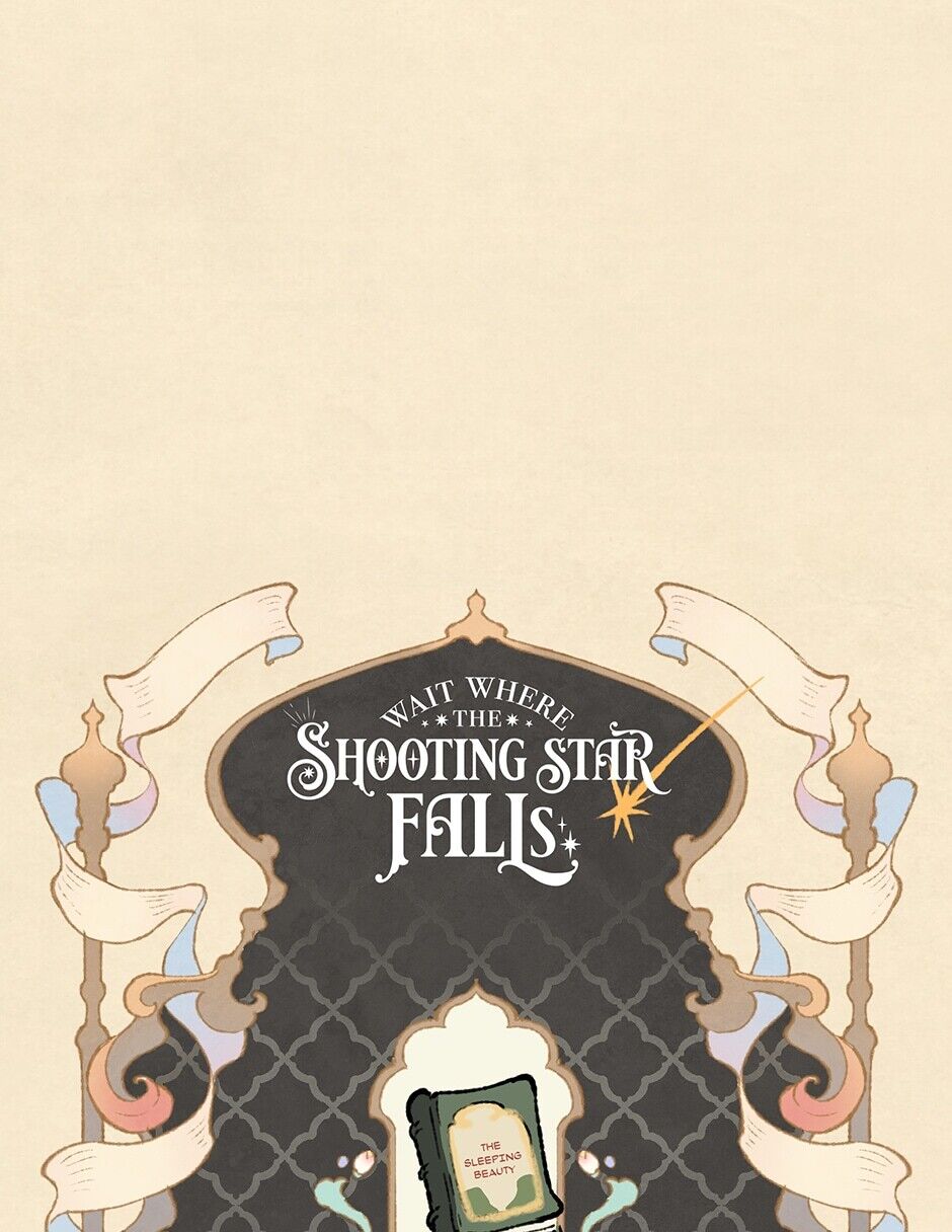 Where The Shooting Star Falls, Wait There. - Chapter 77