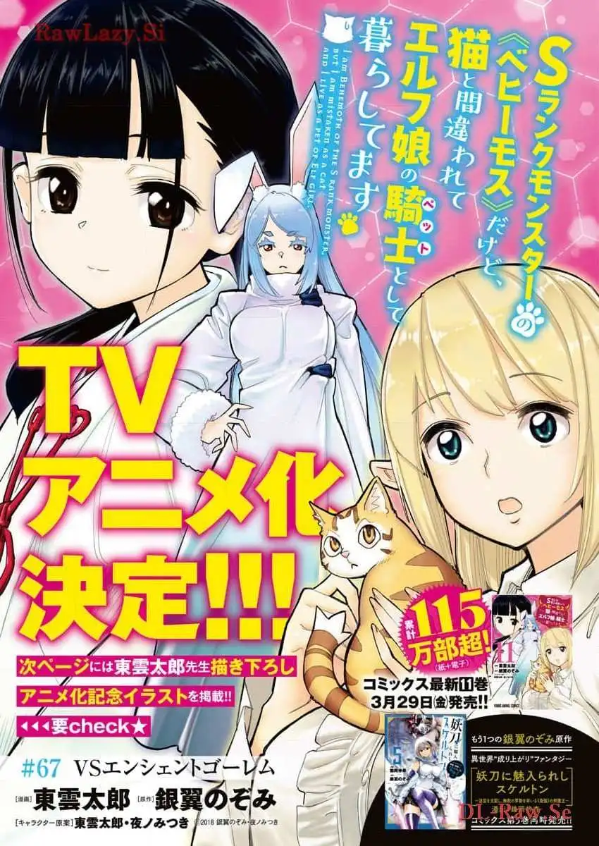 S-Rank Monster No Behemoth Dakedo, Neko To Machigawarete Erufu Musume No Kishi (Pet) Toshite Kurashitemasu - Chapter 67