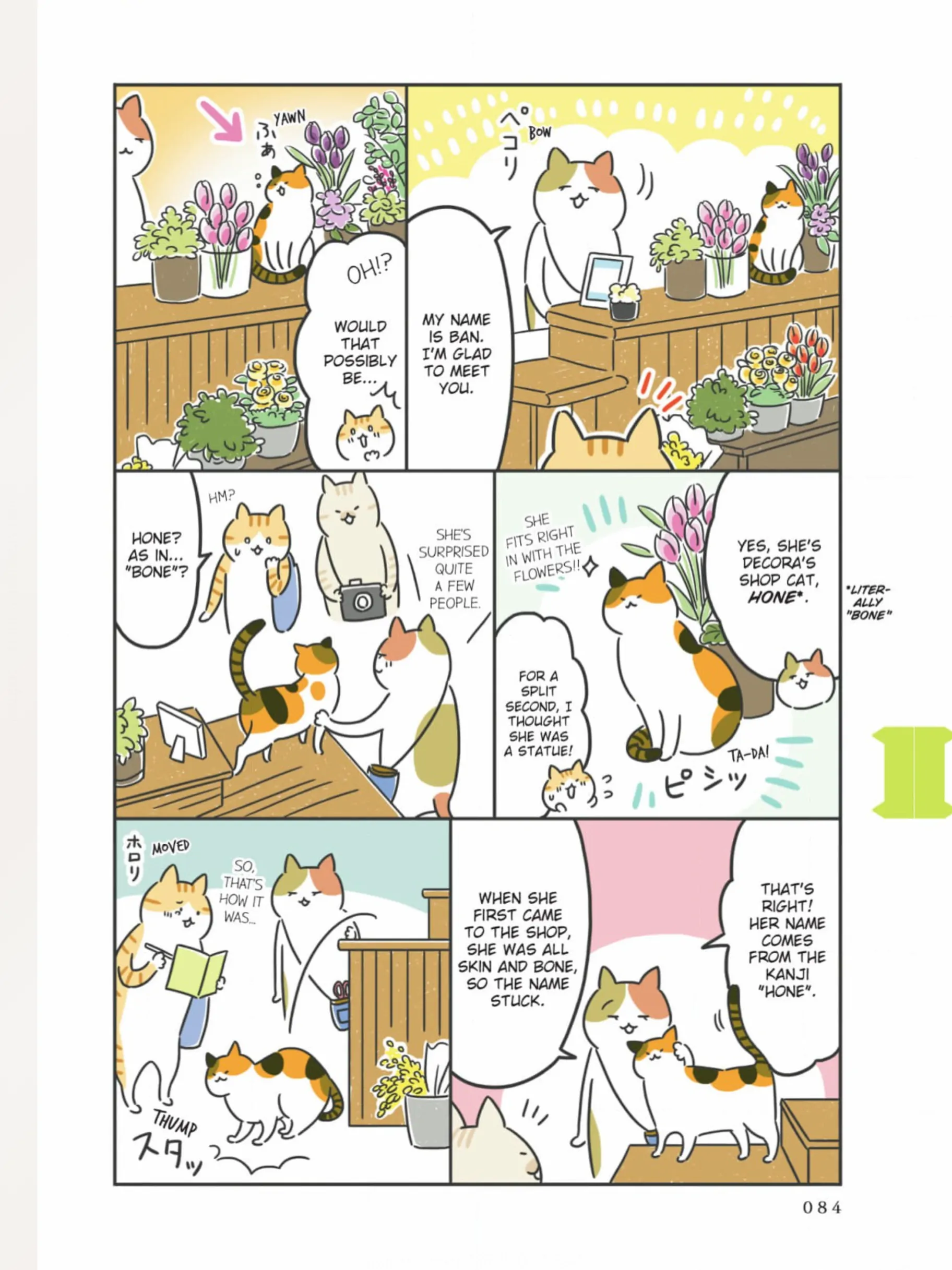 The Shop Cats Of Tokyo: A From Cat Avenue - Chapter 9