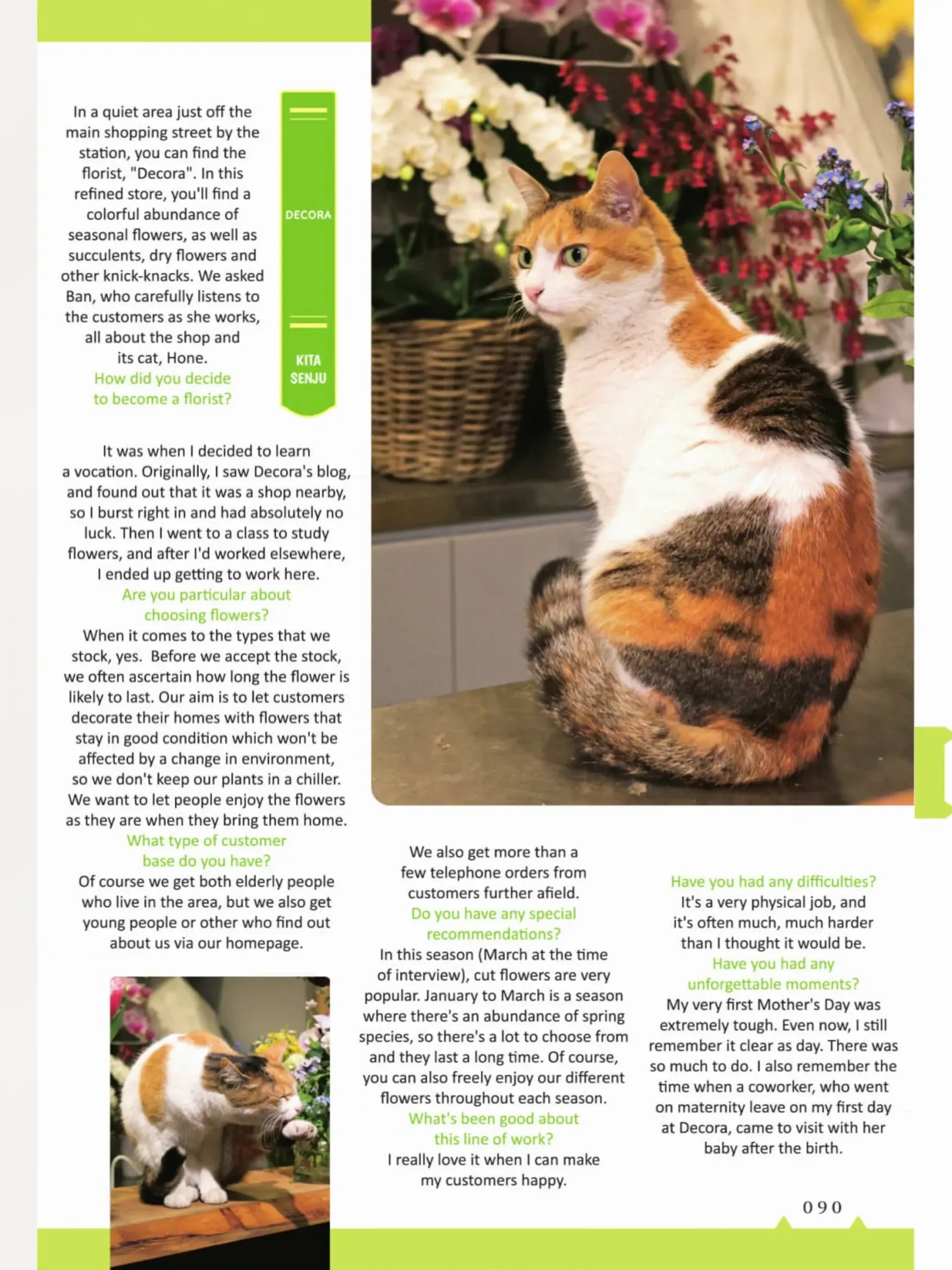 The Shop Cats Of Tokyo: A From Cat Avenue - Chapter 9