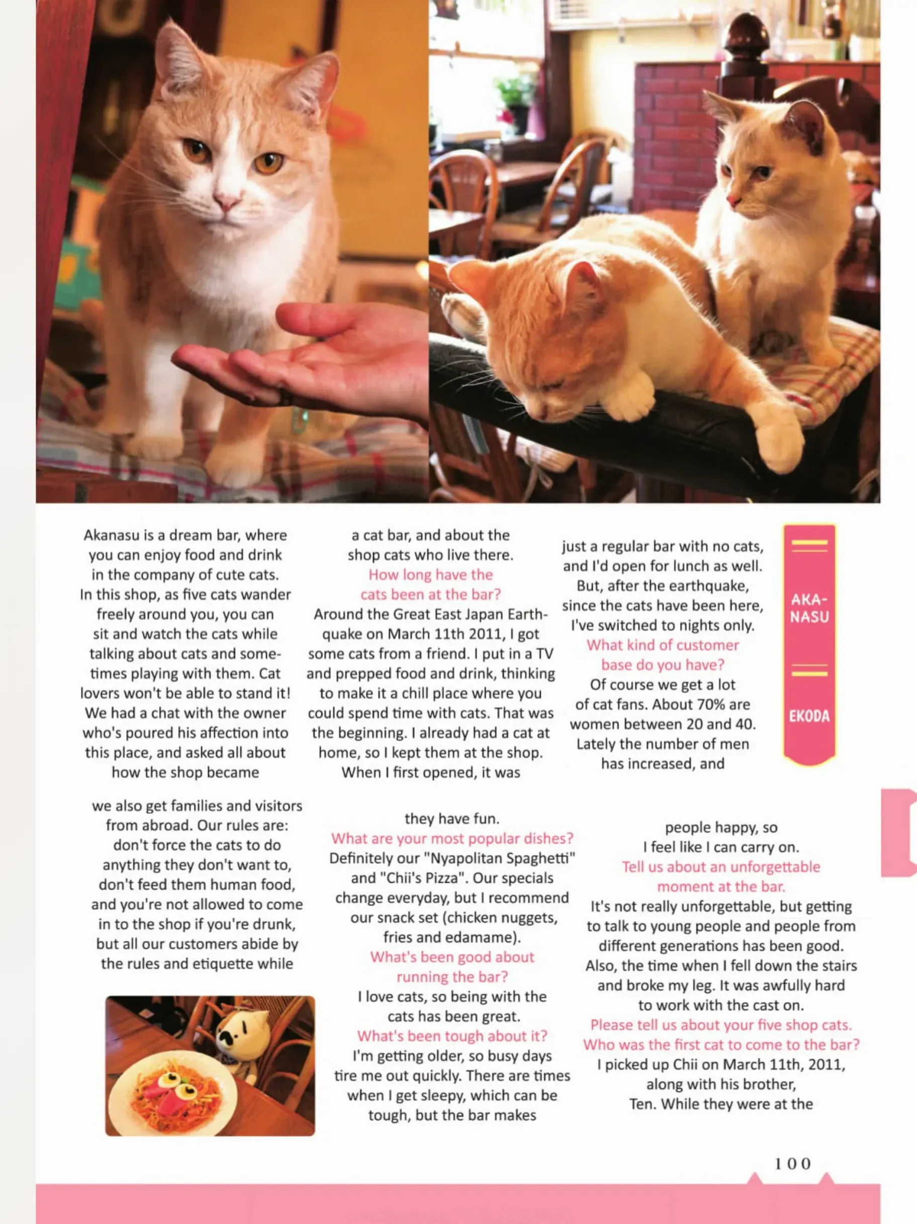 The Shop Cats Of Tokyo: A From Cat Avenue - Chapter 10