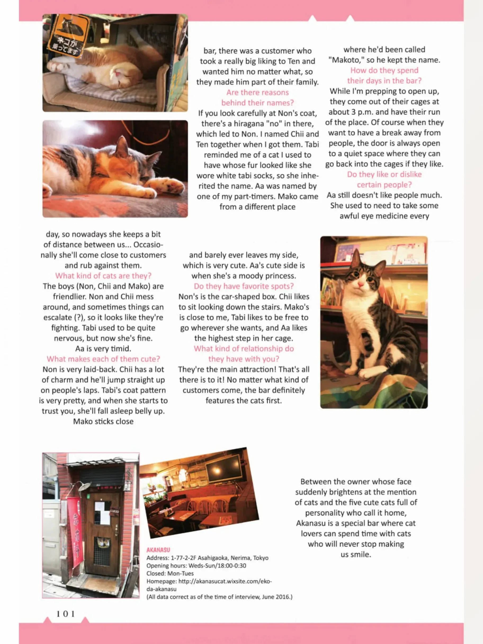 The Shop Cats Of Tokyo: A From Cat Avenue - Chapter 10