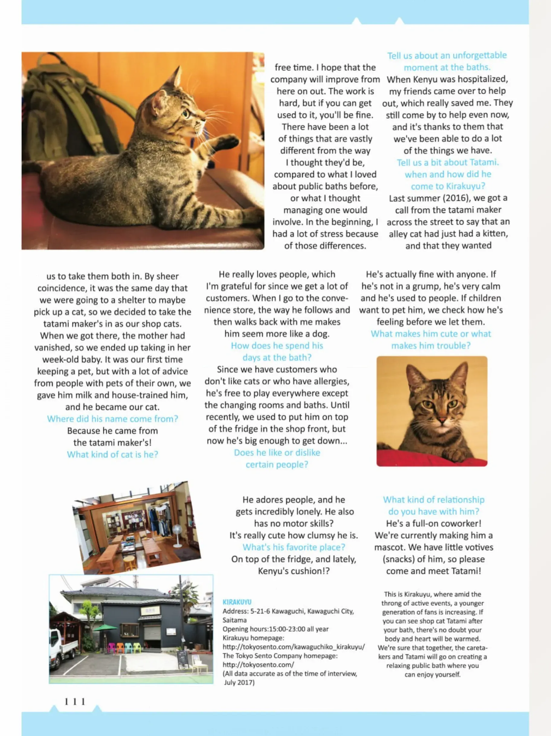 The Shop Cats Of Tokyo: A From Cat Avenue - Chapter 11