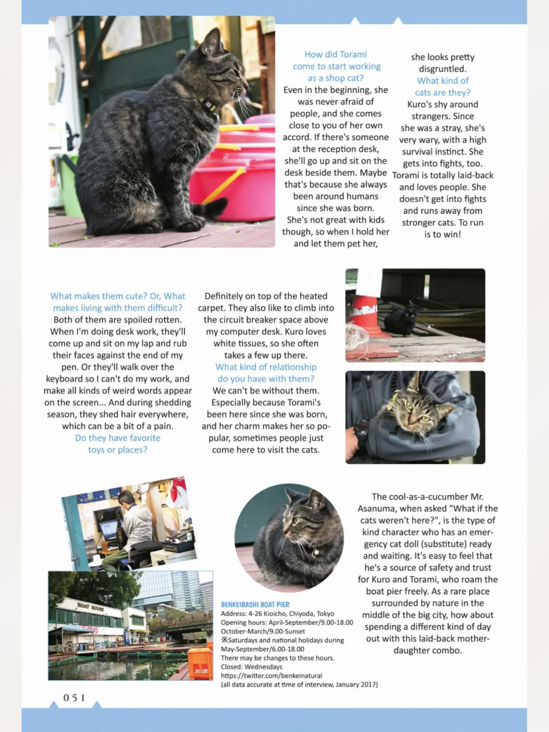 The Shop Cats Of Tokyo: A From Cat Avenue - Chapter 5